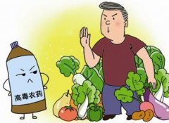 如何正確選擇適合的蔬菜？