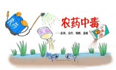 農(nóng)藥殘留速測儀助力“有機(jī)農(nóng)業(yè)”發(fā)展！