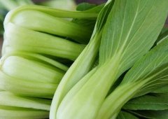 如何延長農(nóng)藥殘留速測(cè)儀的使用壽命？